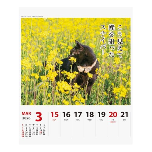 2026年カレンダー 猫川柳 4