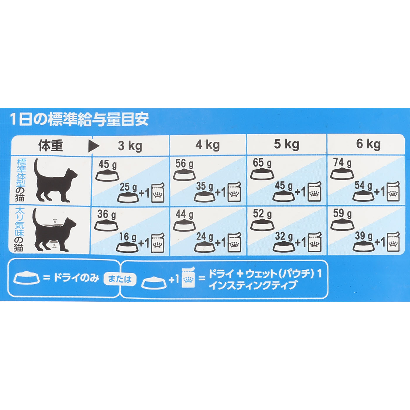 インドア 5