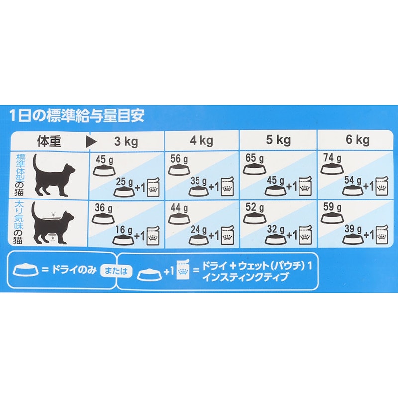 インドア 5