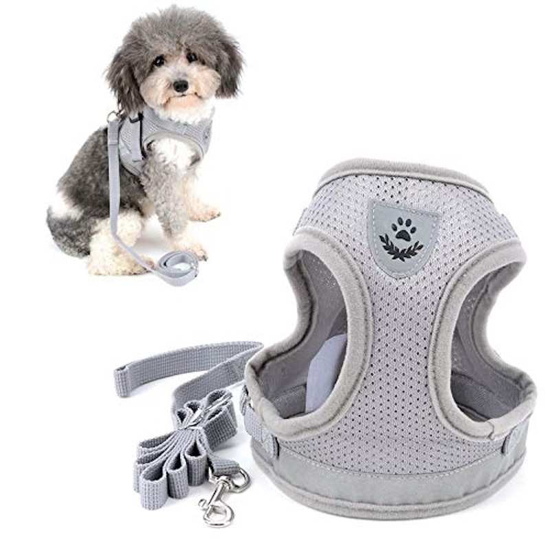 犬用ハーネス 1