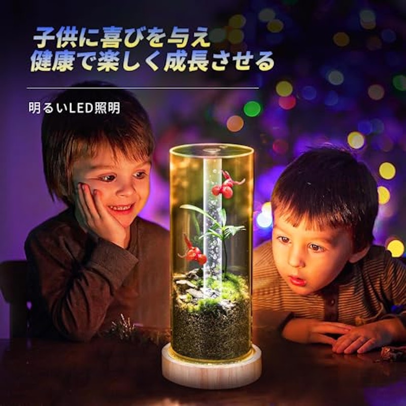 小型水槽セット 4