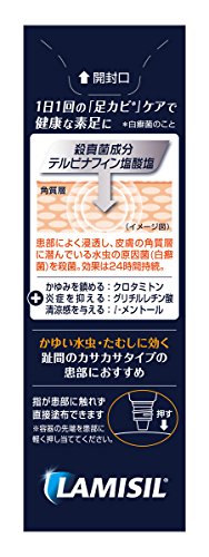 ラミシールプラス液 2