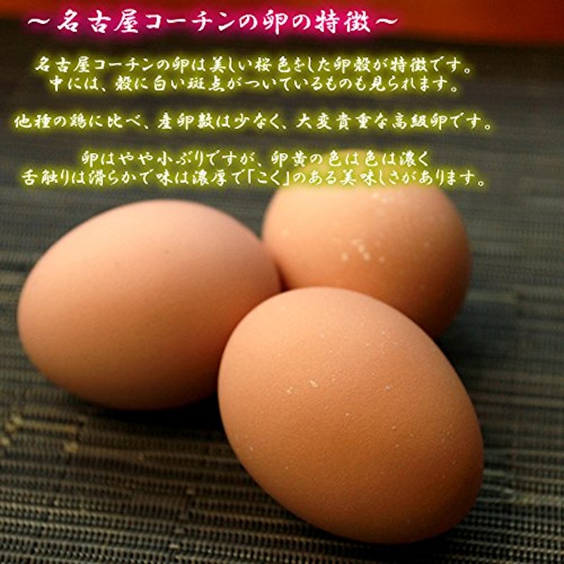 名古屋コーチンの卵 5