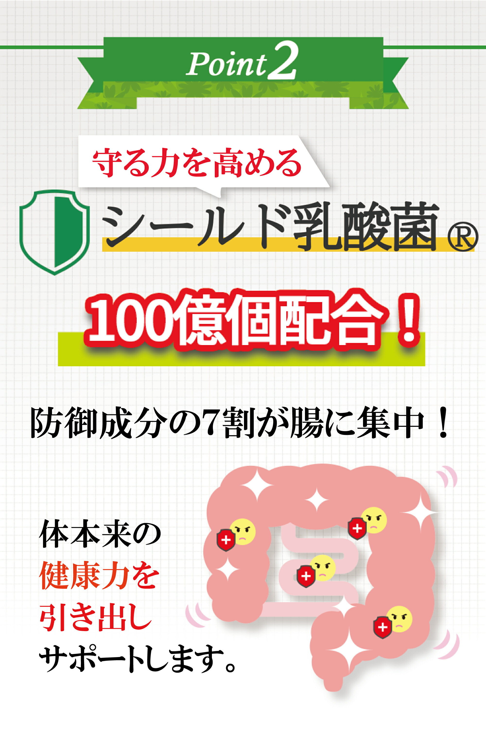 シールドプロポリス300 3
