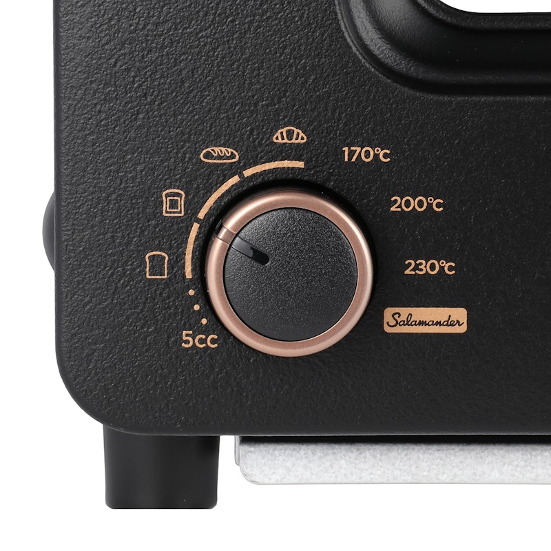 The Toaster Pro 4
