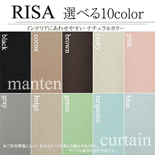 RISA 6