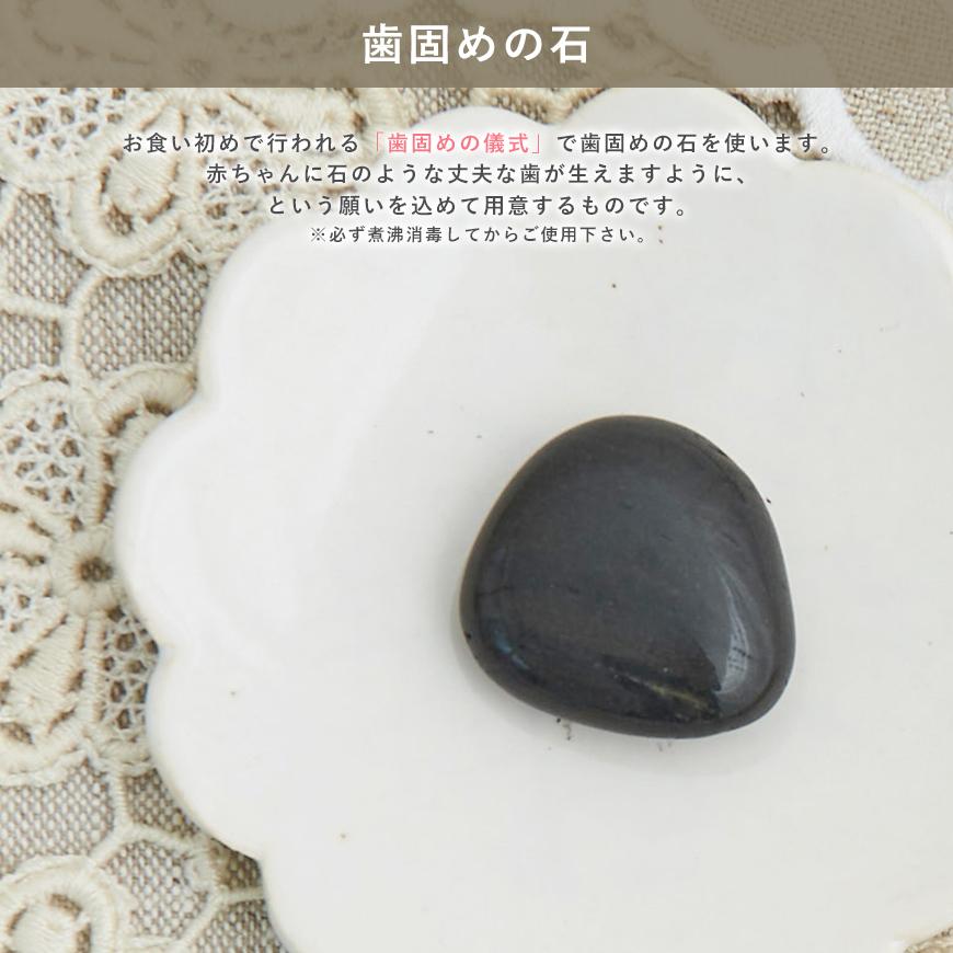 服部幸應先生監修お食い初め はじめての食育膳 11