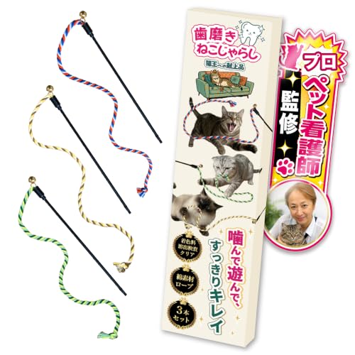 猫じゃらし 1