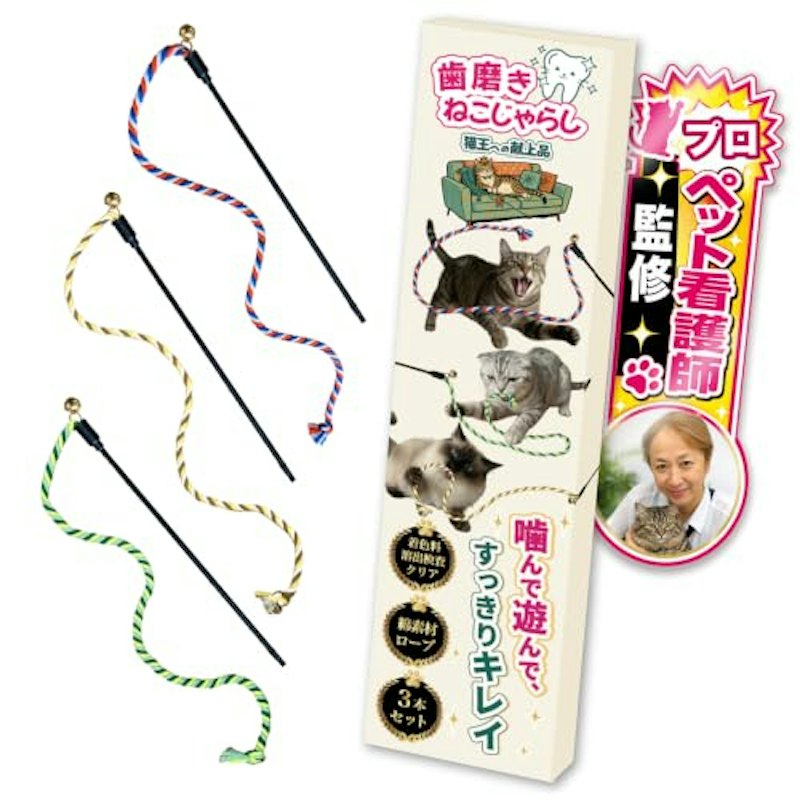 猫じゃらし 1
