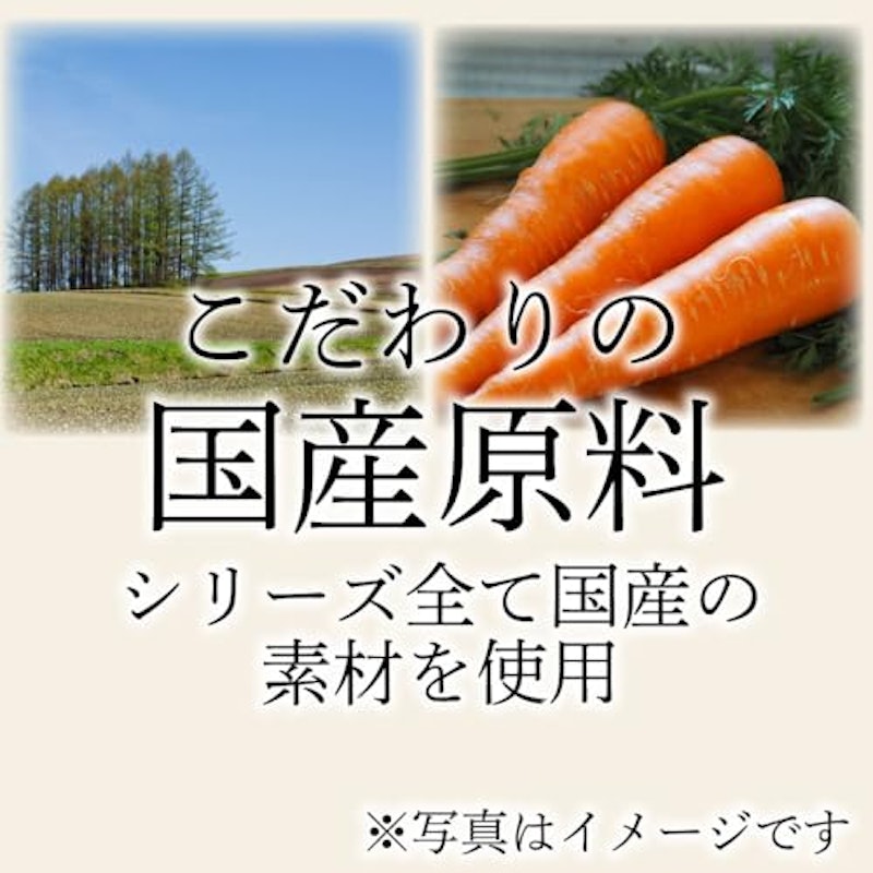 ちらし寿司の家まぜご飯 5