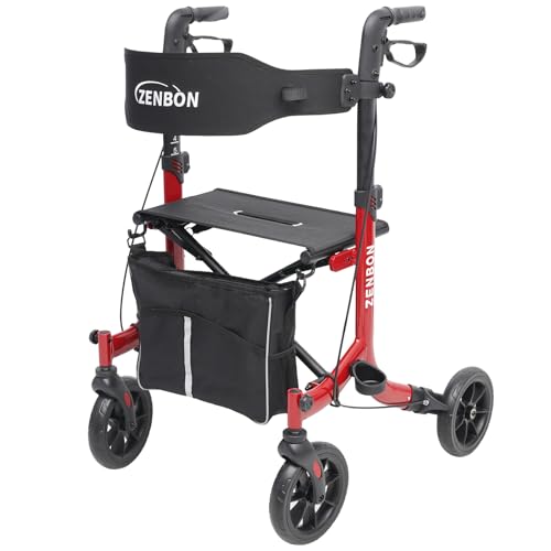 Path Air Mobility Rollator Walker 1