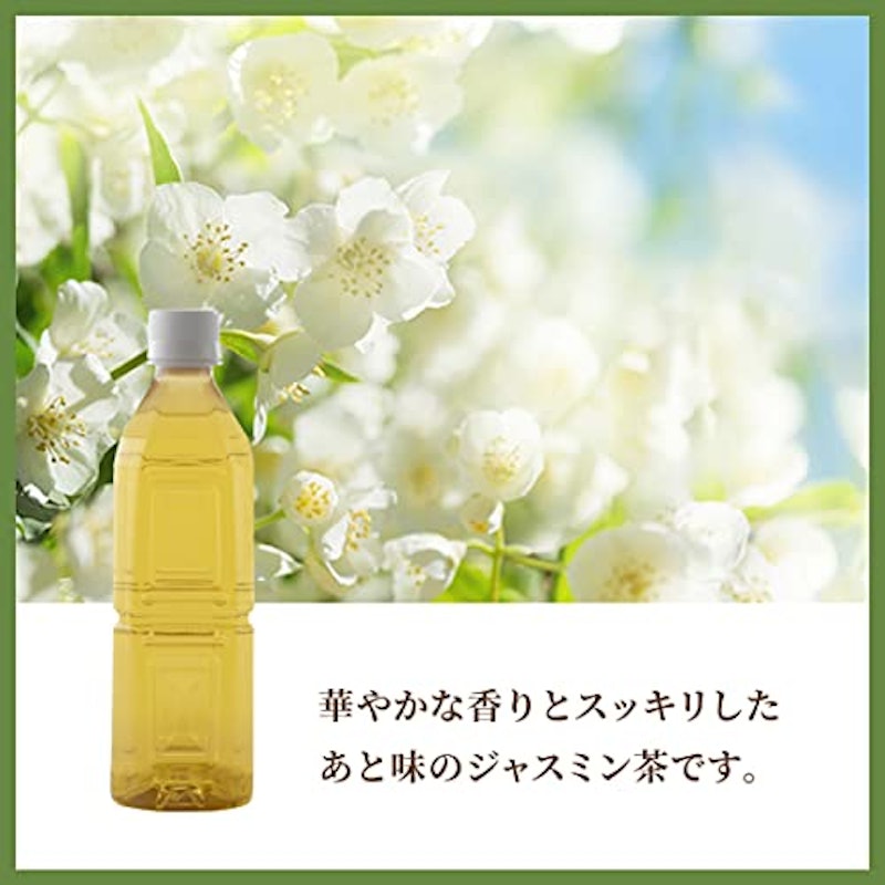 ラベルレス ジャスミン茶 2