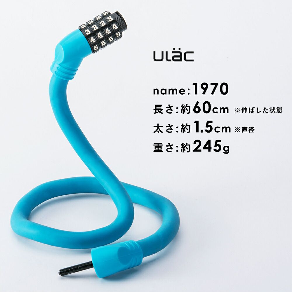 Memory Cable Lock Combo 2
