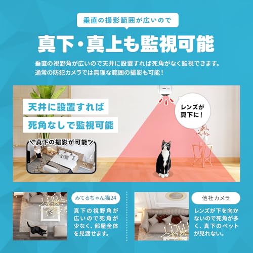 防犯カメラ みてるちゃん猫24 5