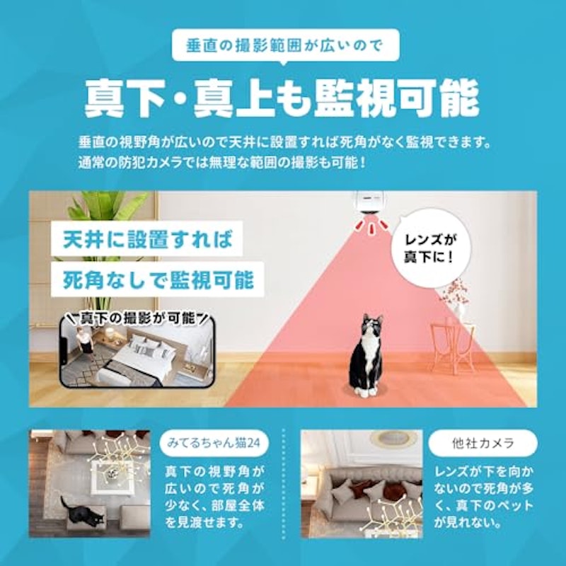 防犯カメラ みてるちゃん猫24 5