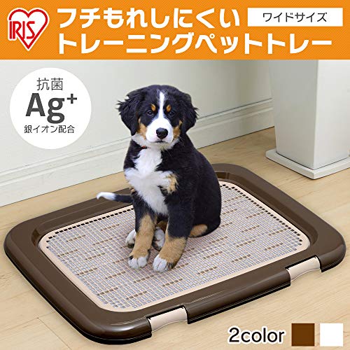 フチもれしにくいトレーニングペットトレー 2