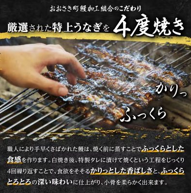 鹿児島県産 うなぎ長蒲焼 3
