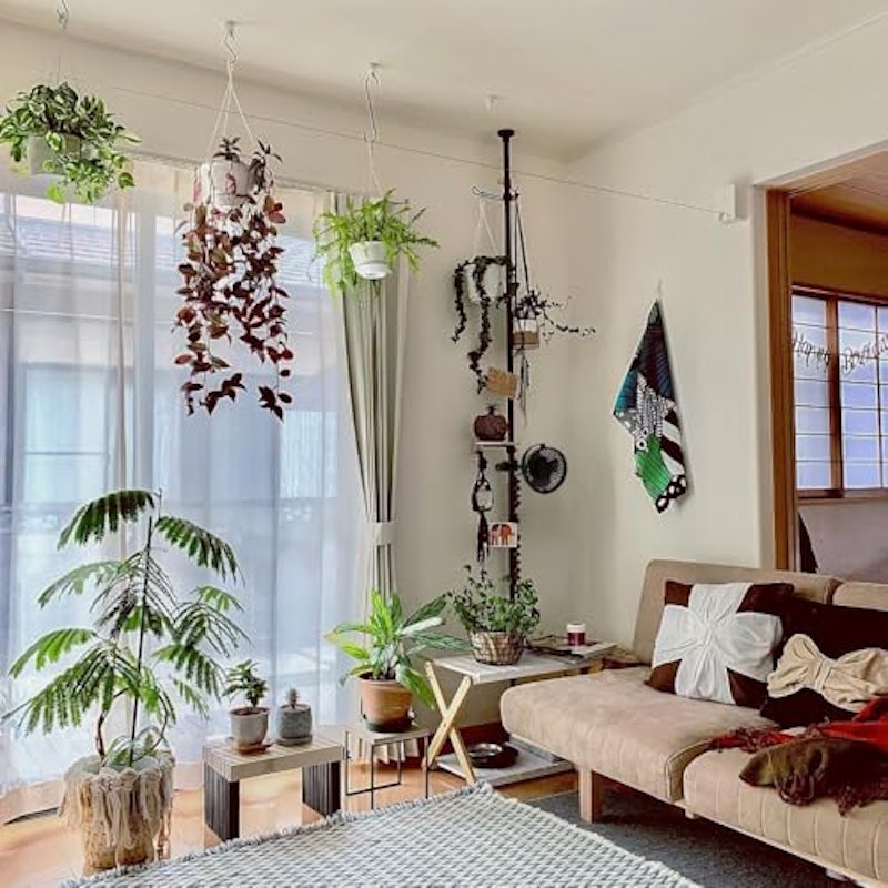 植物用サーキュレーター 2