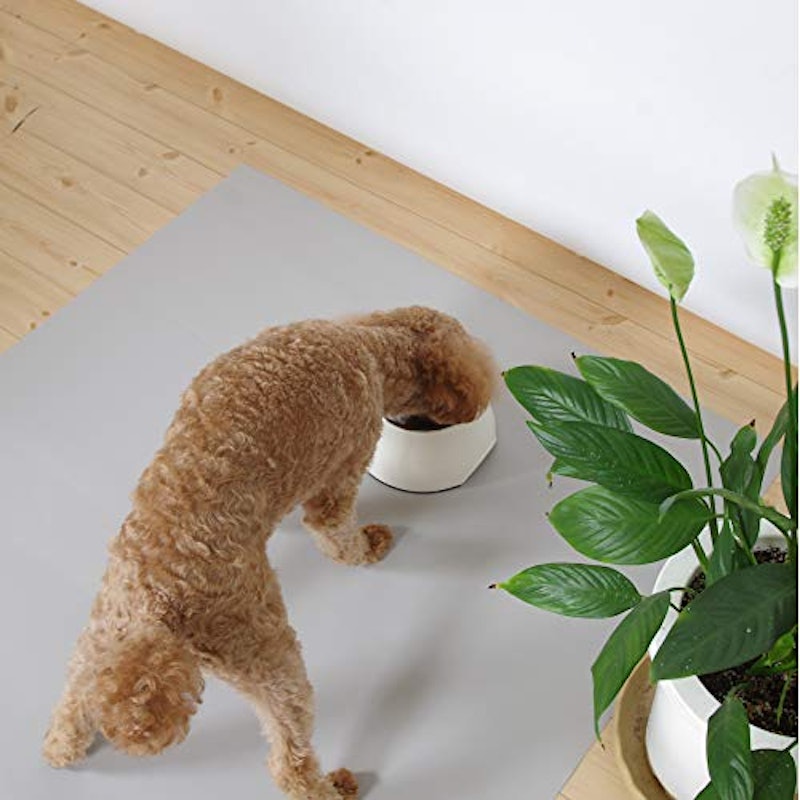 21年 犬用フローリングマットのおすすめ人気ランキング12選 Mybest 21年 犬用フローリングマットのおすすめ人気ランキング12選 Mybest