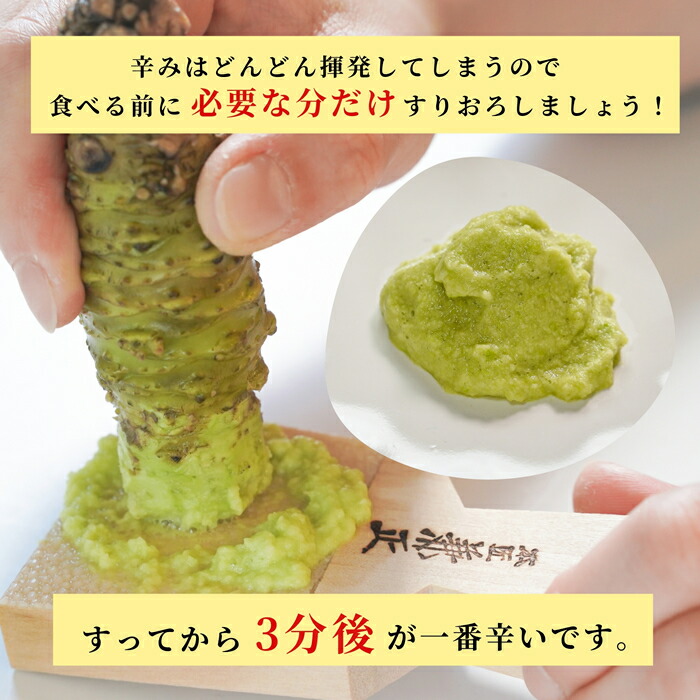  静岡県産 根わさび 大・小 4