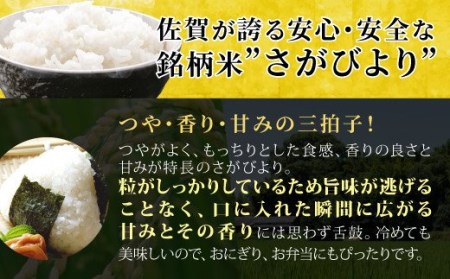 令和4年産 さがみのり 4