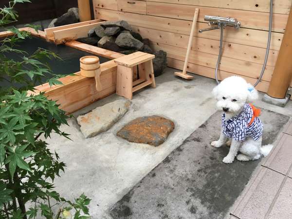 伏楽の館 那須湯本店 10