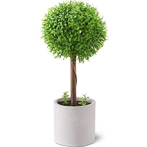 2023年】光触媒で加工された観葉植物のおすすめ人気ランキング43選