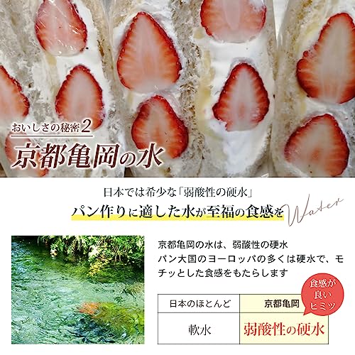 天然酵母プルマン 5
