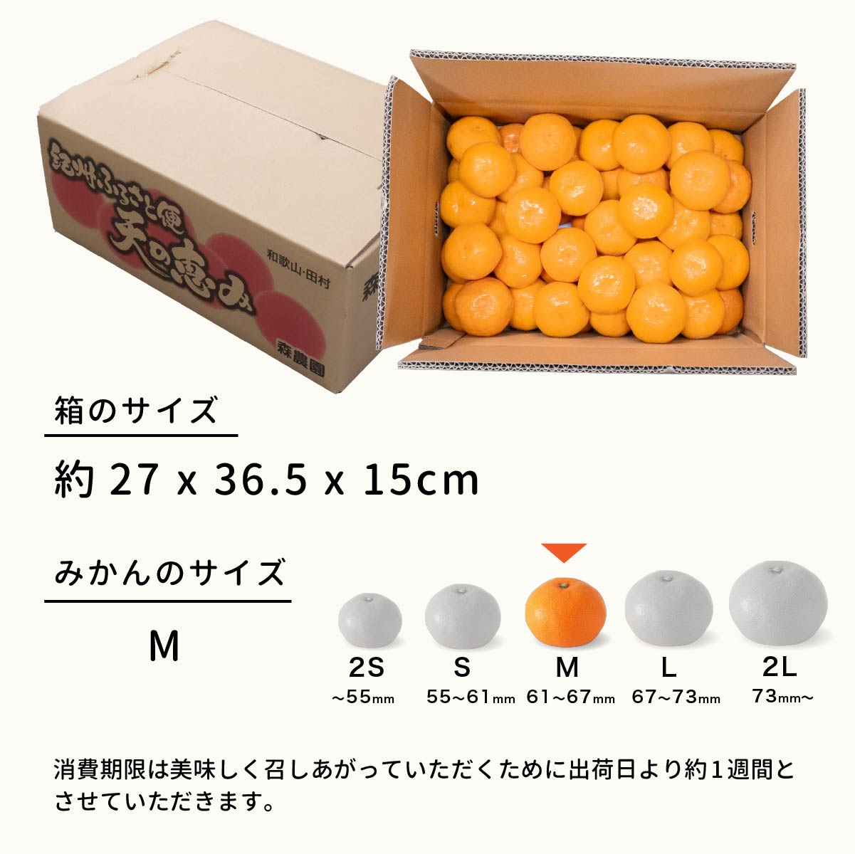 高級みかんのおすすめ人気ランキング【2026年7月】 | マイベスト