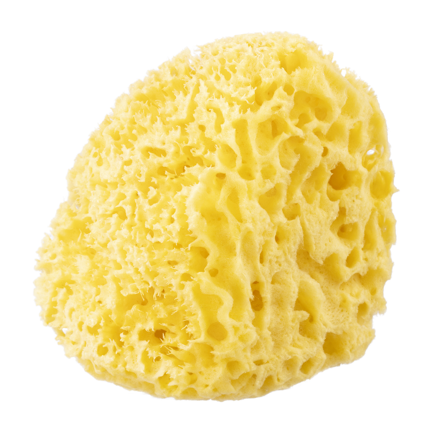 21年 ボディスポンジのおすすめ人気ランキング18選 徹底比較 Mybest