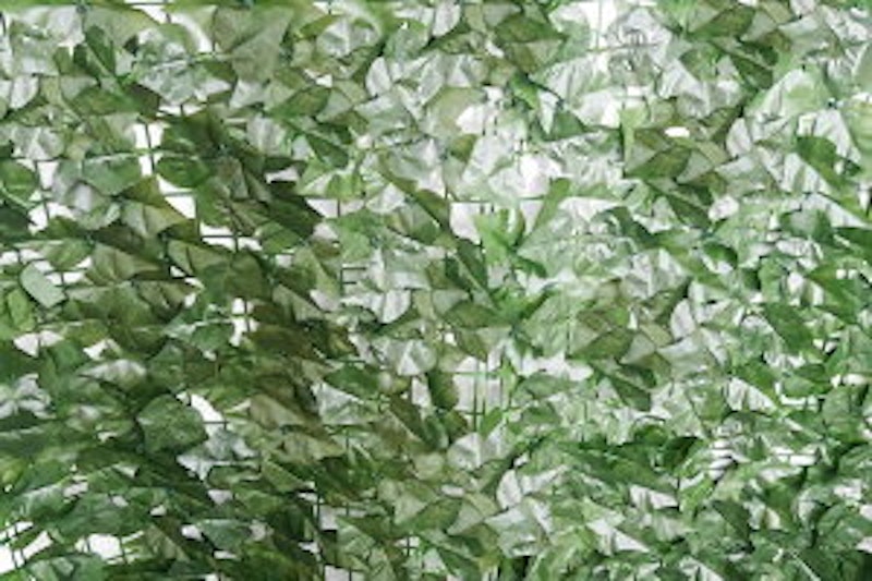 Cf5tm9tabck1nm Cf5tm9tabck1nm