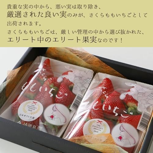 さくらももいちご 9