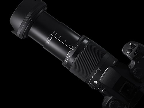 18-300mm F3.5-6.3 DC MACRO OS HSM | Contemporary 7