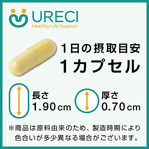 プロテオプラス 2