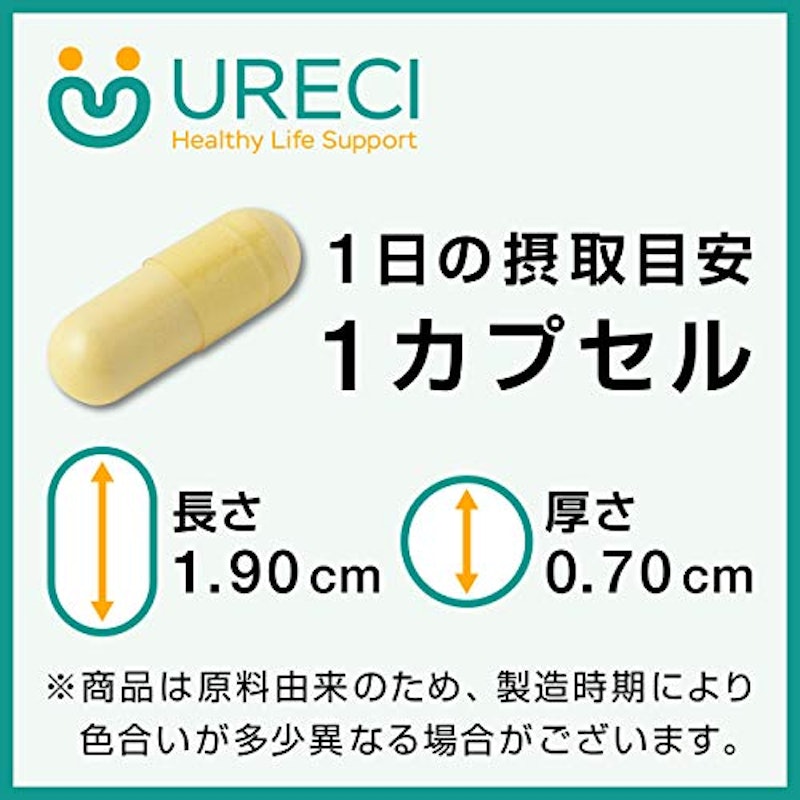 プロテオプラス 2