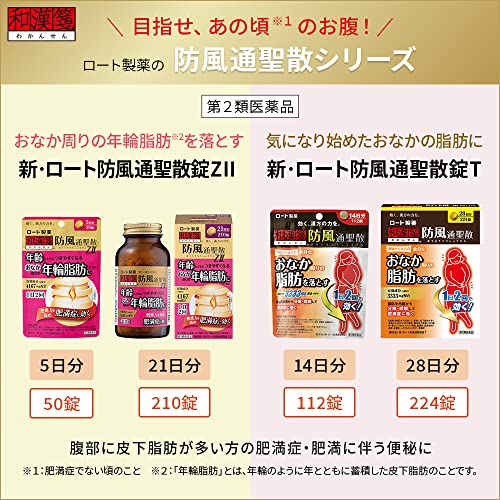 錠満量a 6