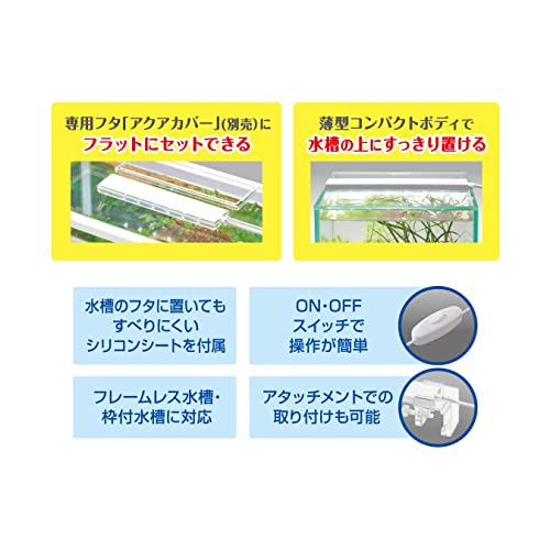 フラッティ 3