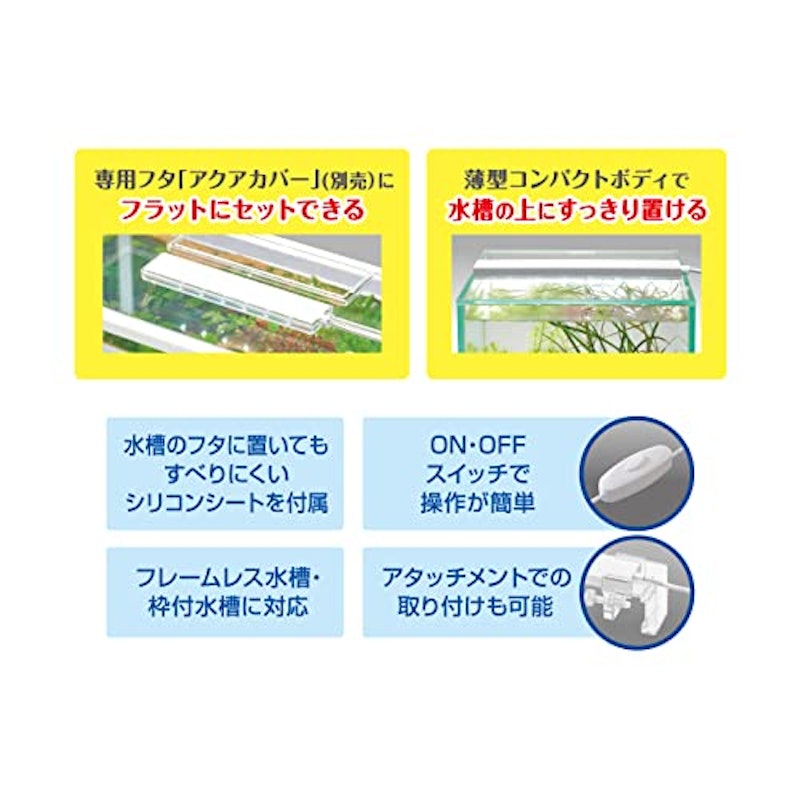 フラッティ 3