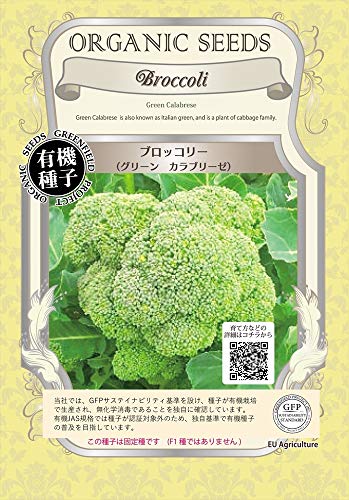 ブロッコリー カラブリーゼ 1