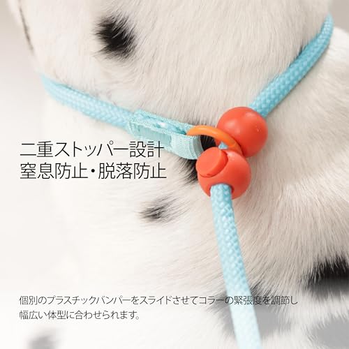犬用スリップリード 2