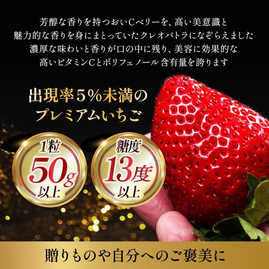 美しの香 クレオパトラおいCベリー 6