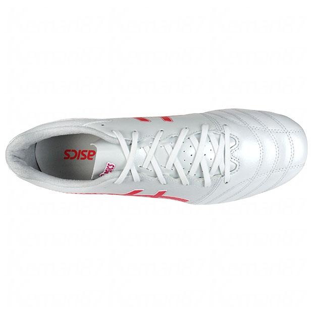 DS LIGHT PRO AG 4