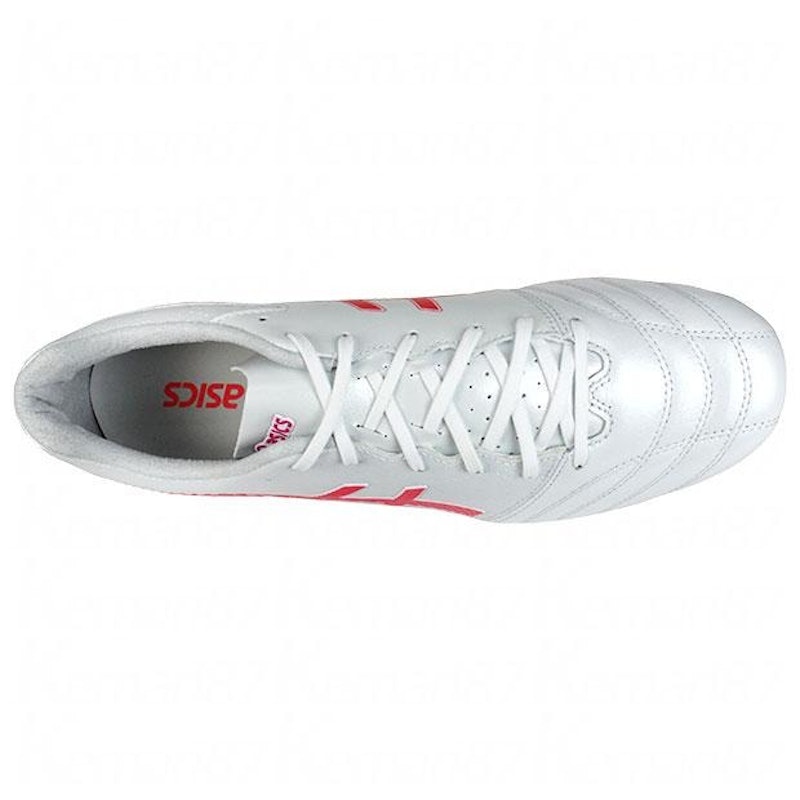 DS LIGHT PRO AG 4