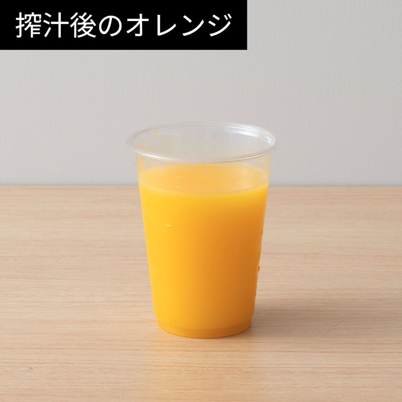 コールドプレスジューサー 9