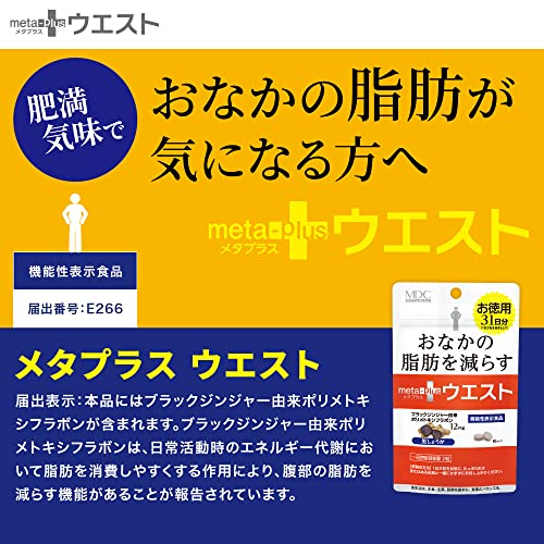 メタプラス ウエスト 2