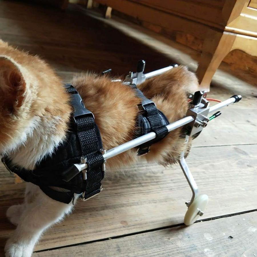 犬猫用車椅子 2