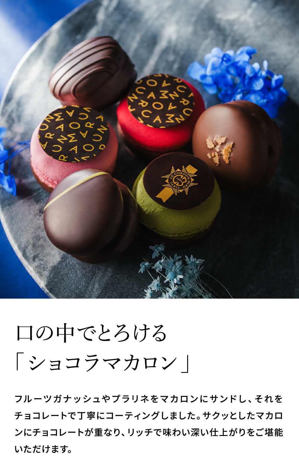 ル・コルドン・ブルー ショコラマカロン 3