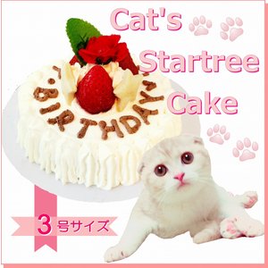 猫用ケーキのおすすめ人気ランキング5選 Mybest