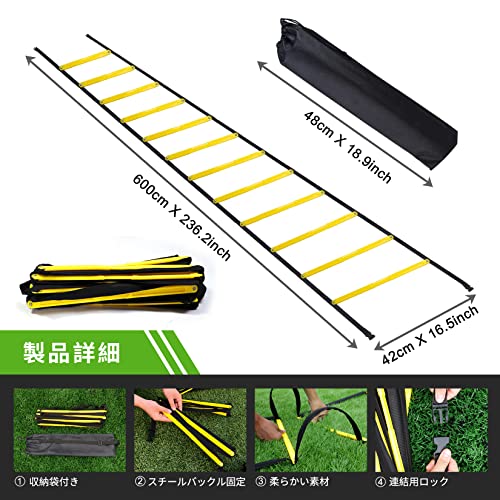 トレーニングラダー 5