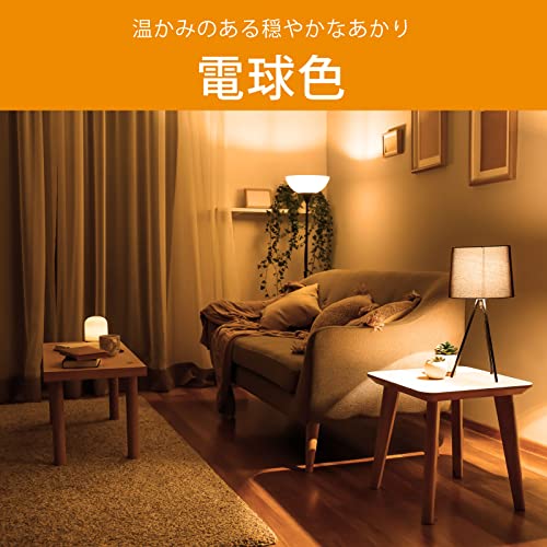 LEDミニシーリングライト 5